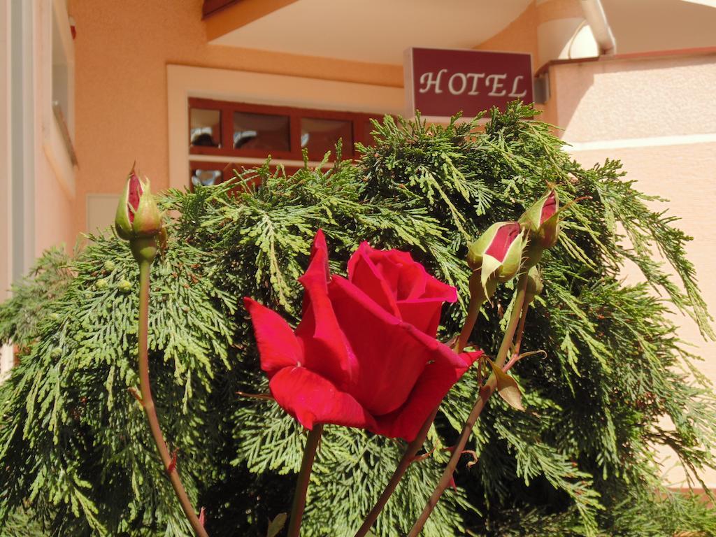 U Anity Hotel Uzhhorod Luaran gambar